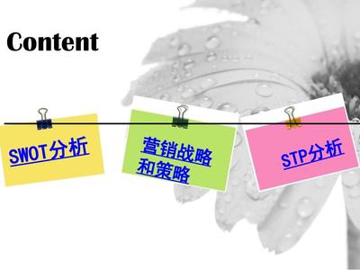 歐琳櫥柜 廚房品質生活引領者——市場營銷策劃方案